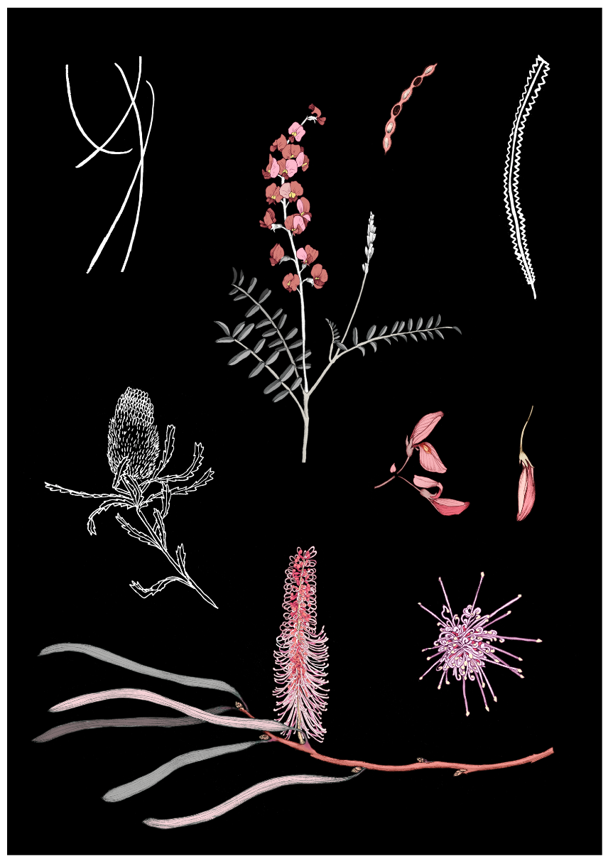 Screen Shot 2017-10-17 at 2.51.27 pm.png