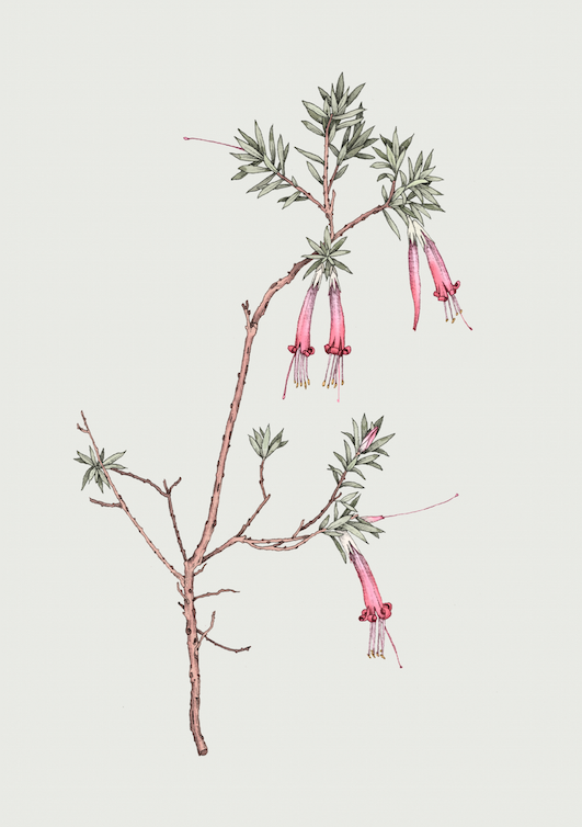 Screen Shot 2017-12-12 at 4.12.27 pm.png