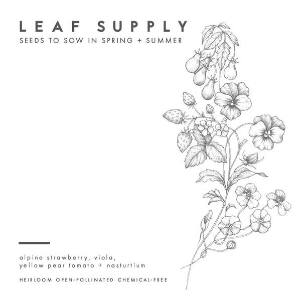 Leaf Supply seed packs