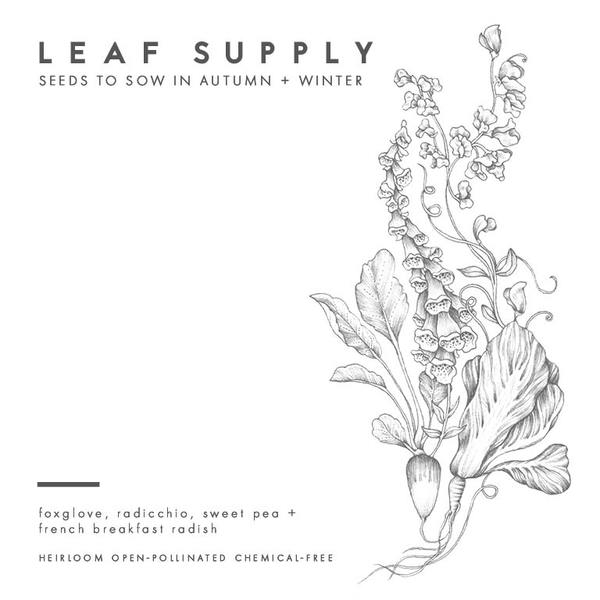 Leaf Supply seed packs