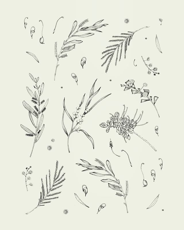 Plant Companions Colouring Page! 2 of 2 for @togethergallery 💛&nbsp;Download for free, colour and roll on into (hopefully!) some calm and creativity.

I love the opportunity to just focus on one element of illustrating for a chunk of time, such as c