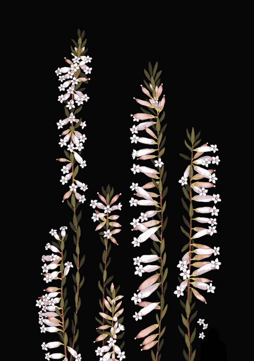 Screen Shot 2020-12-03 at 3.49.35 pm.png