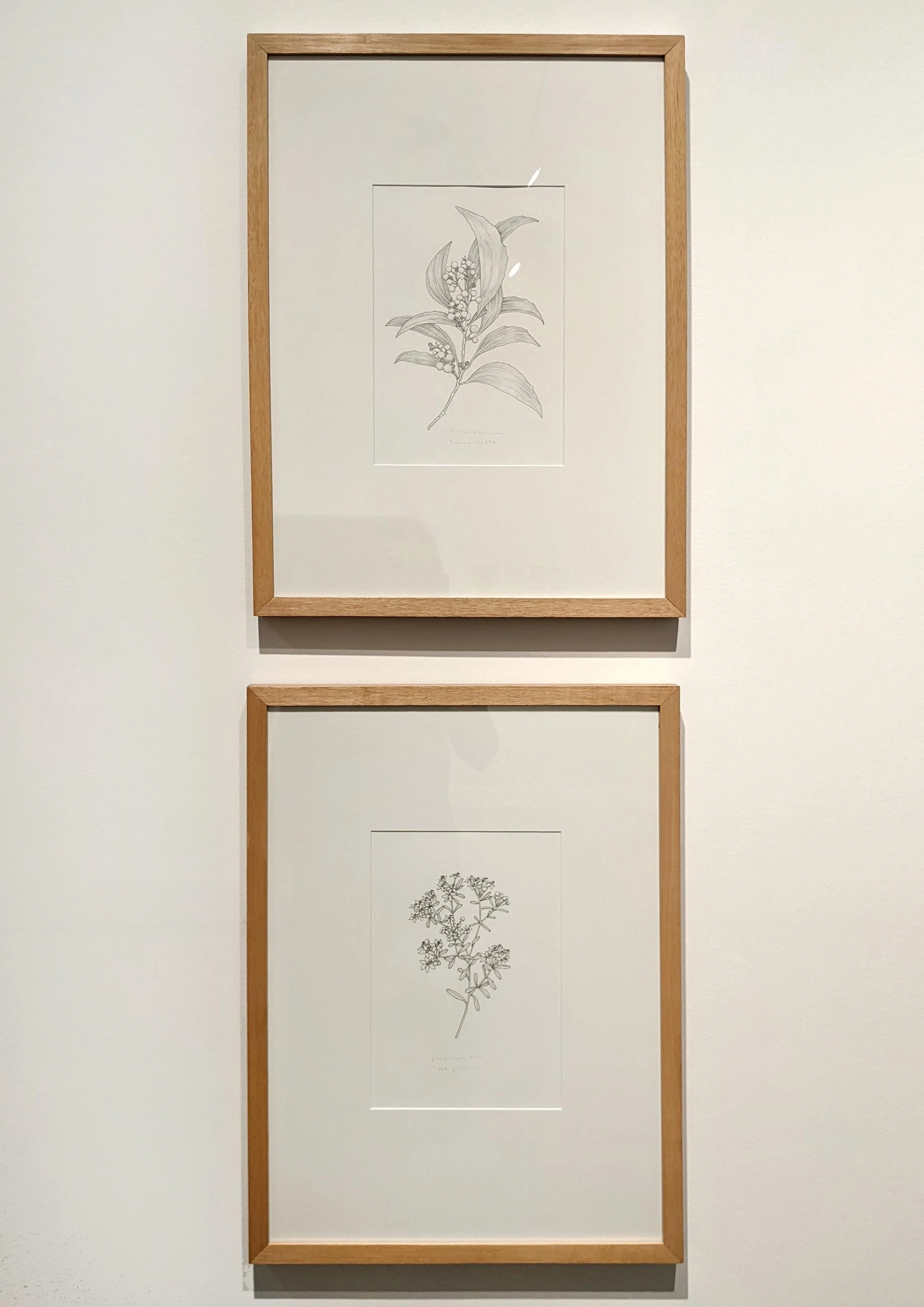 Edith_Rewa_duo_Framed.jpg