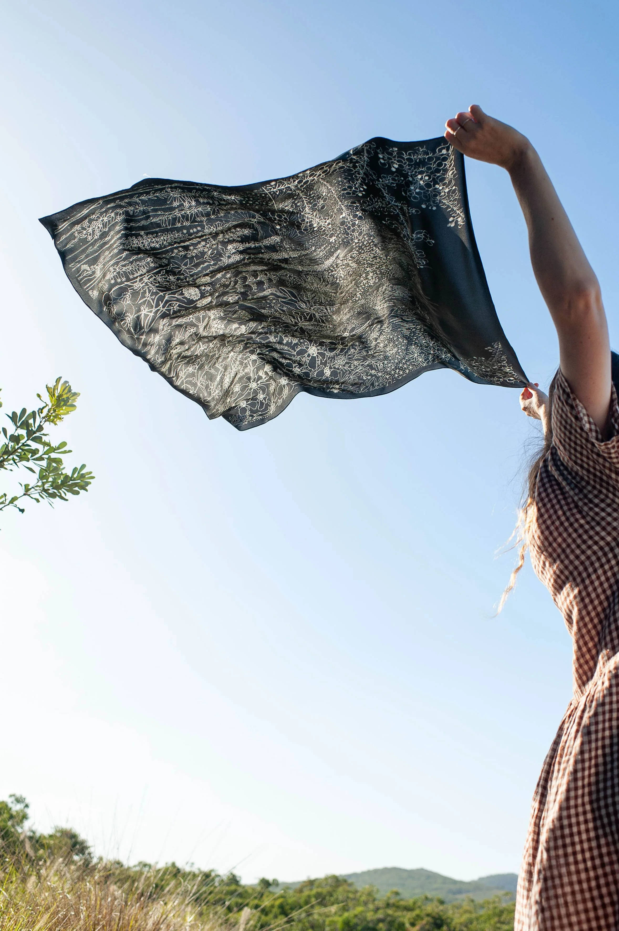 Wallum_shimmer_Boketto_Edith_Rewa_flying_4.jpg