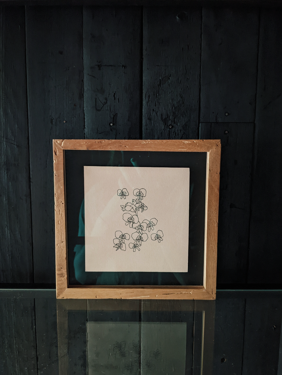 Screen Shot 2023-07-11 at 2.42.10 pm.png