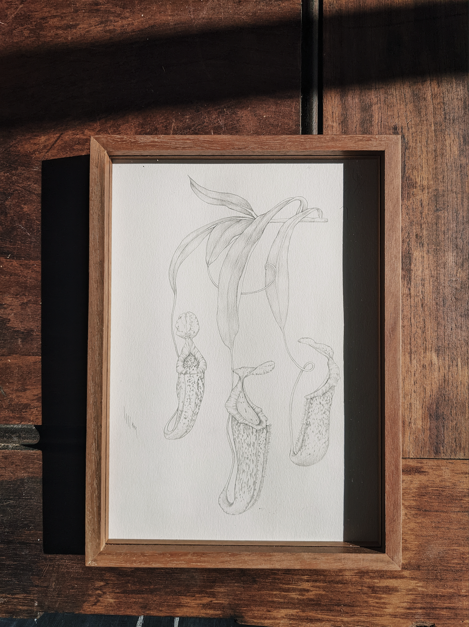 Screen Shot 2023-07-11 at 2.52.08 pm.png