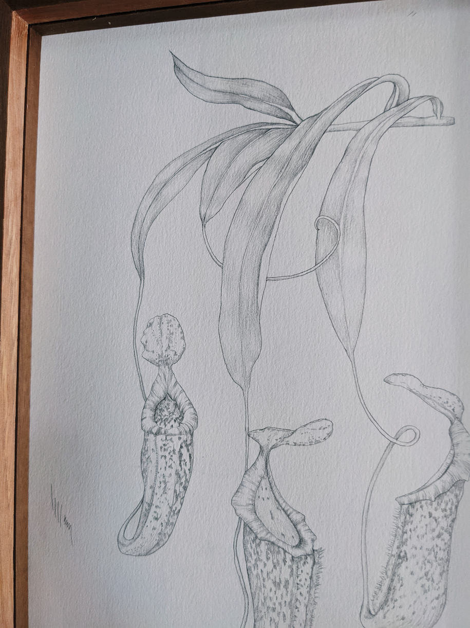 Screen Shot 2023-07-11 at 2.51.58 pm.png