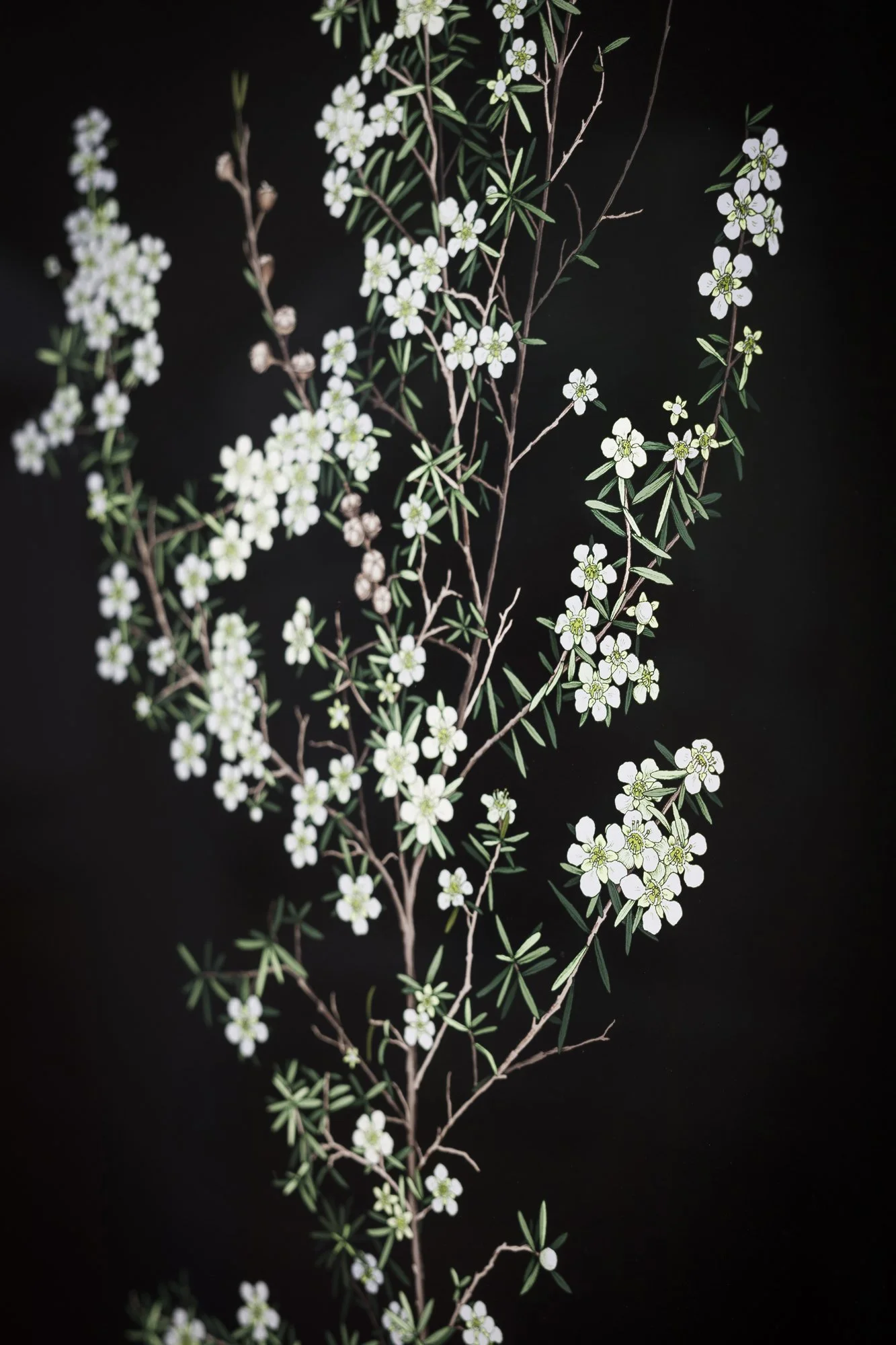 web ERB MoB 271224 012.jpg