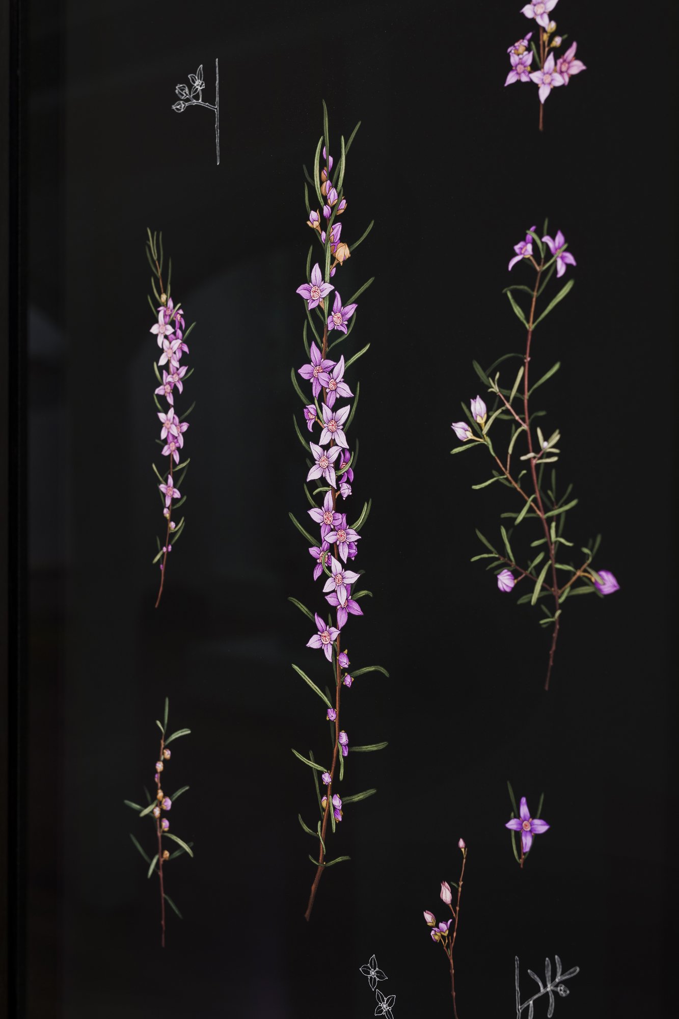 web ERB MoB 271224 010.jpg