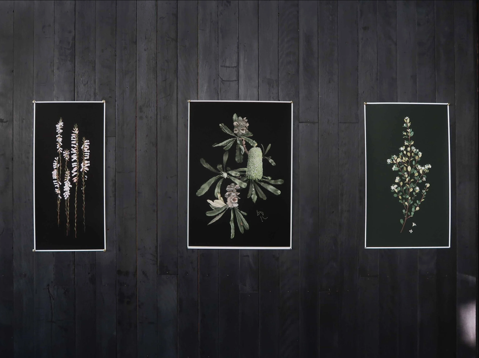 Screen Shot 2025-09-11 at 12.49.52 pm.png