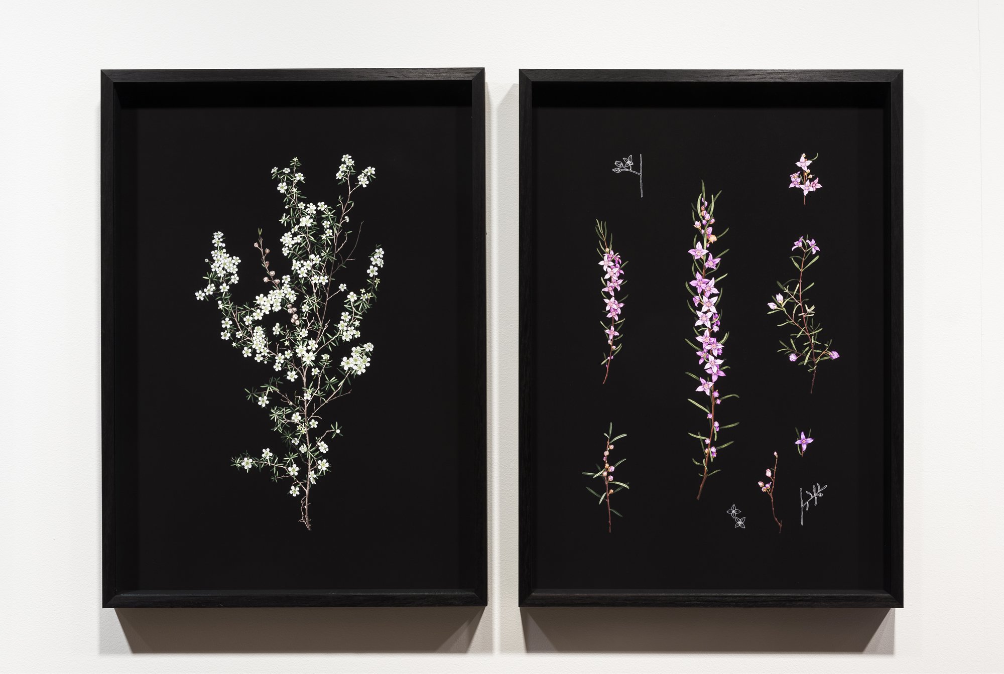 web ERB MoB 061224 006.jpg