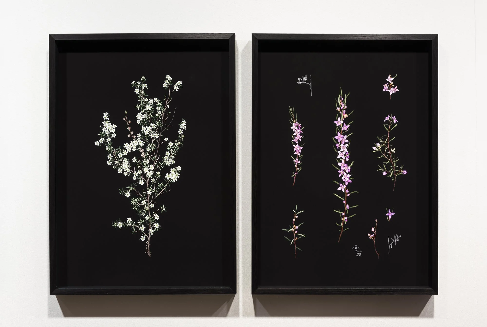 web ERB MoB 061224 006.jpg