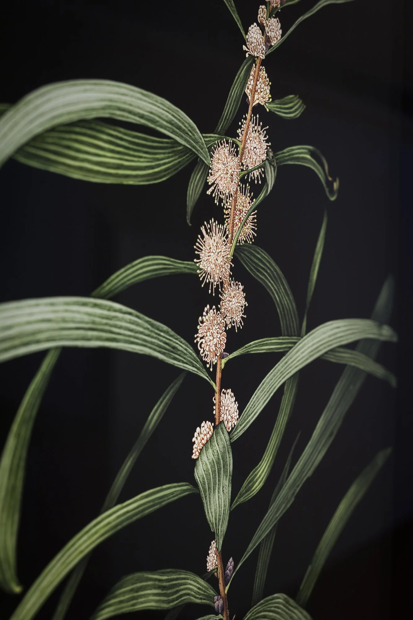 web ERB MoB 271224 014.jpg