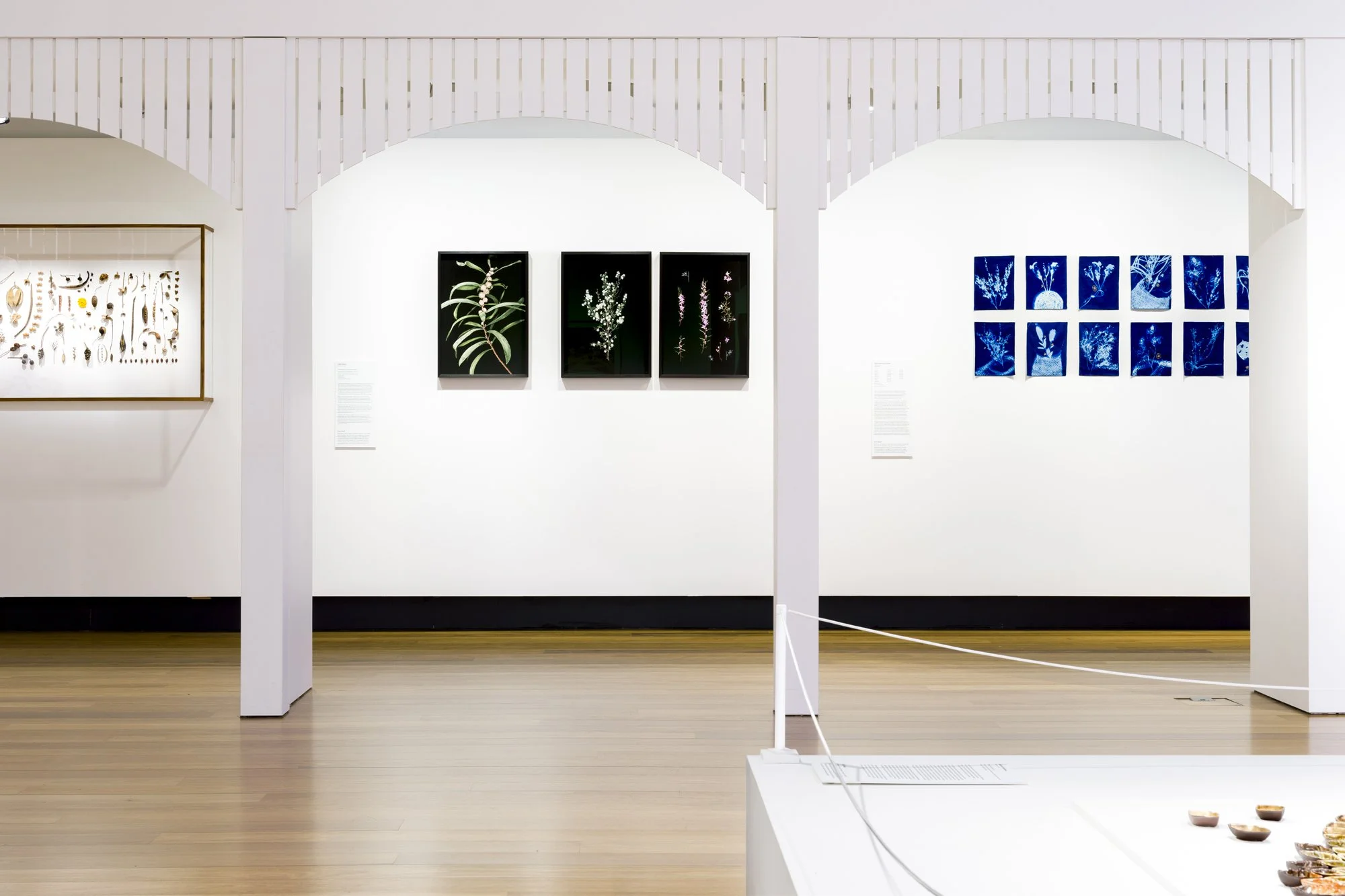 web ERB MoB 271224 008.jpg