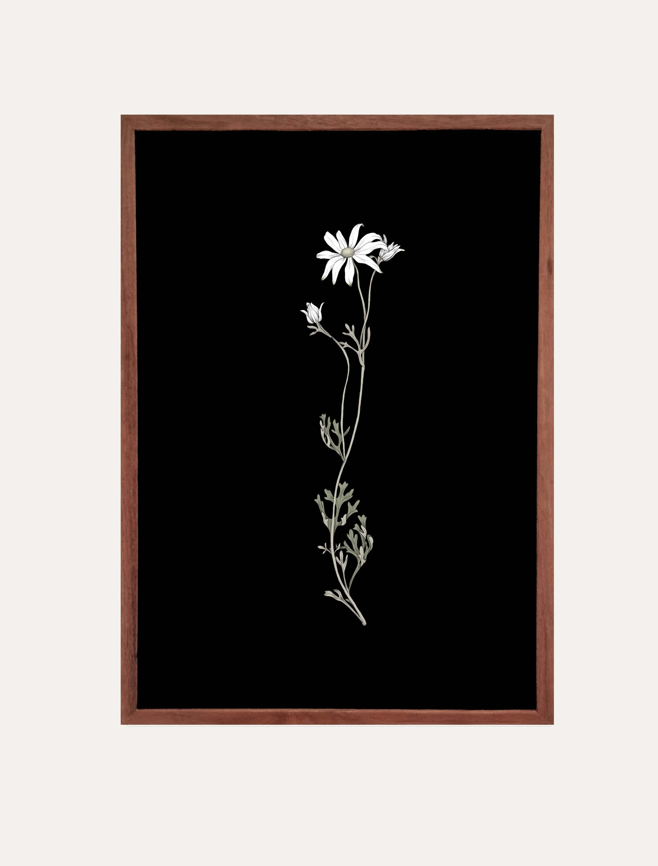 Little flannel framed vertical edith rewa.jpg