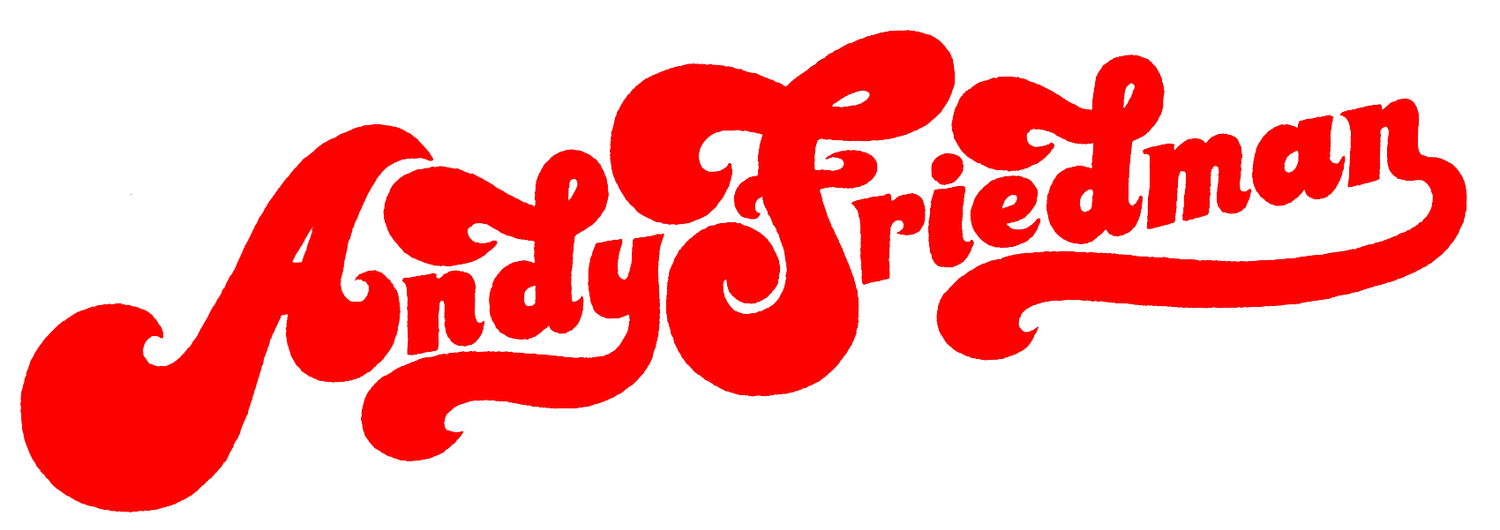 Andy Friedman