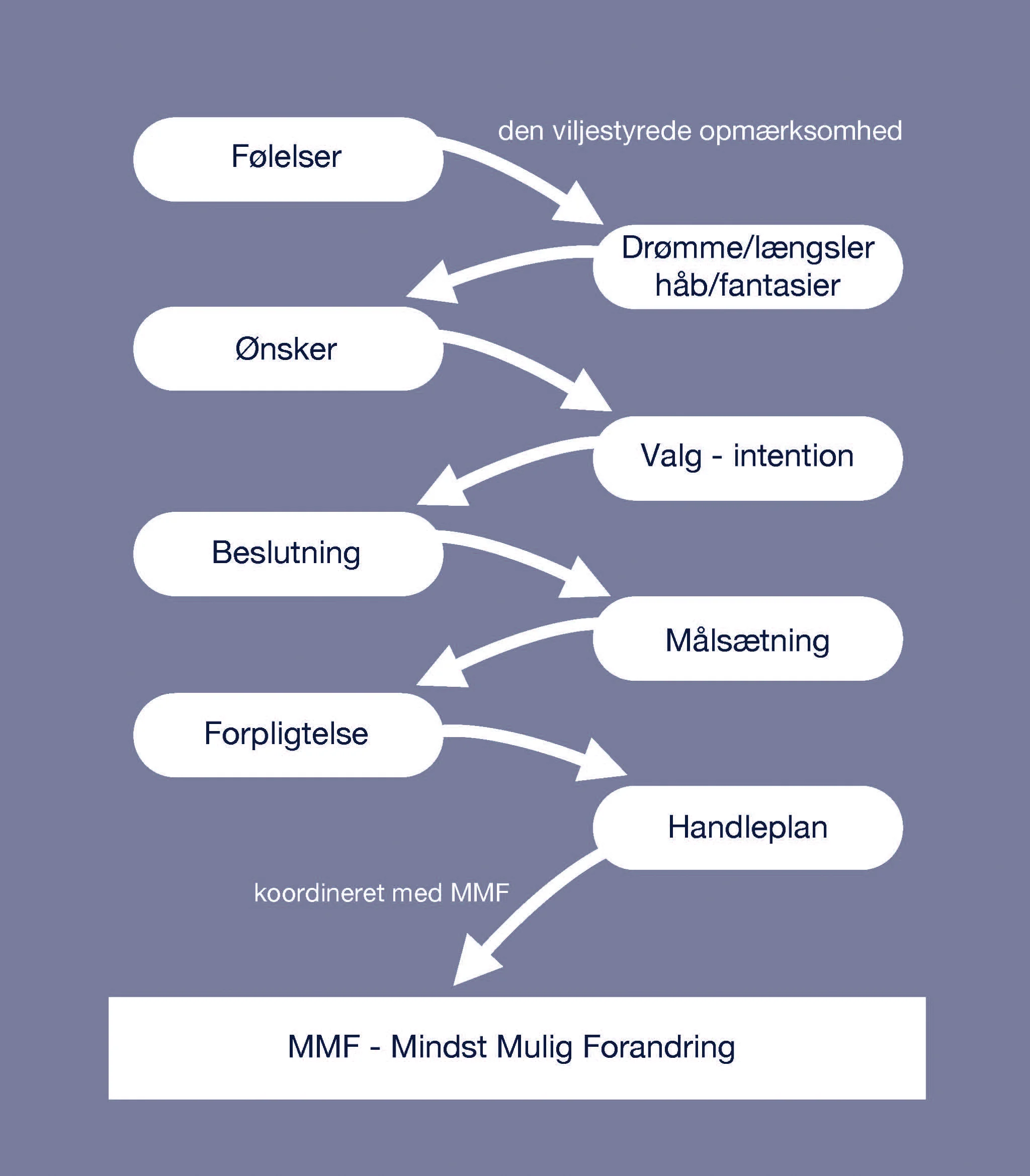 vilje_beslutnings_psykologi.jpg