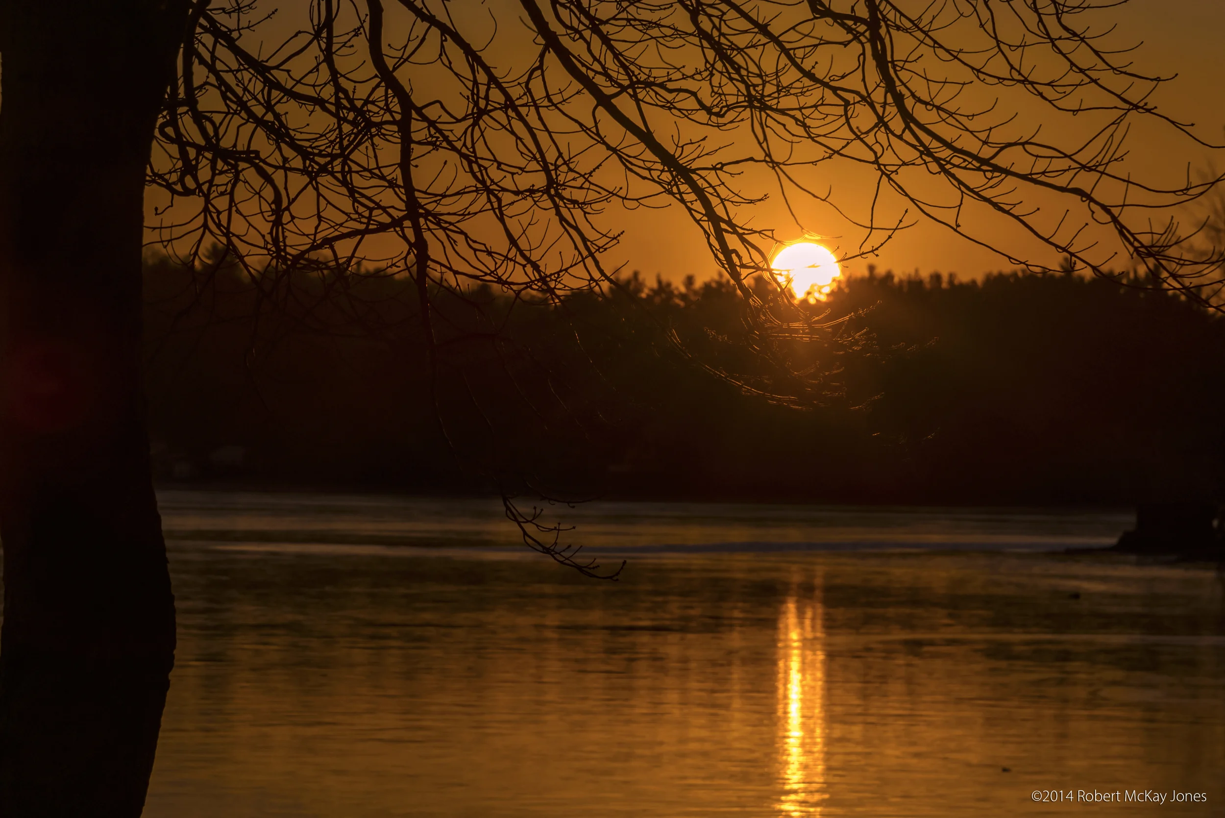 _DSC3392 copy.jpg