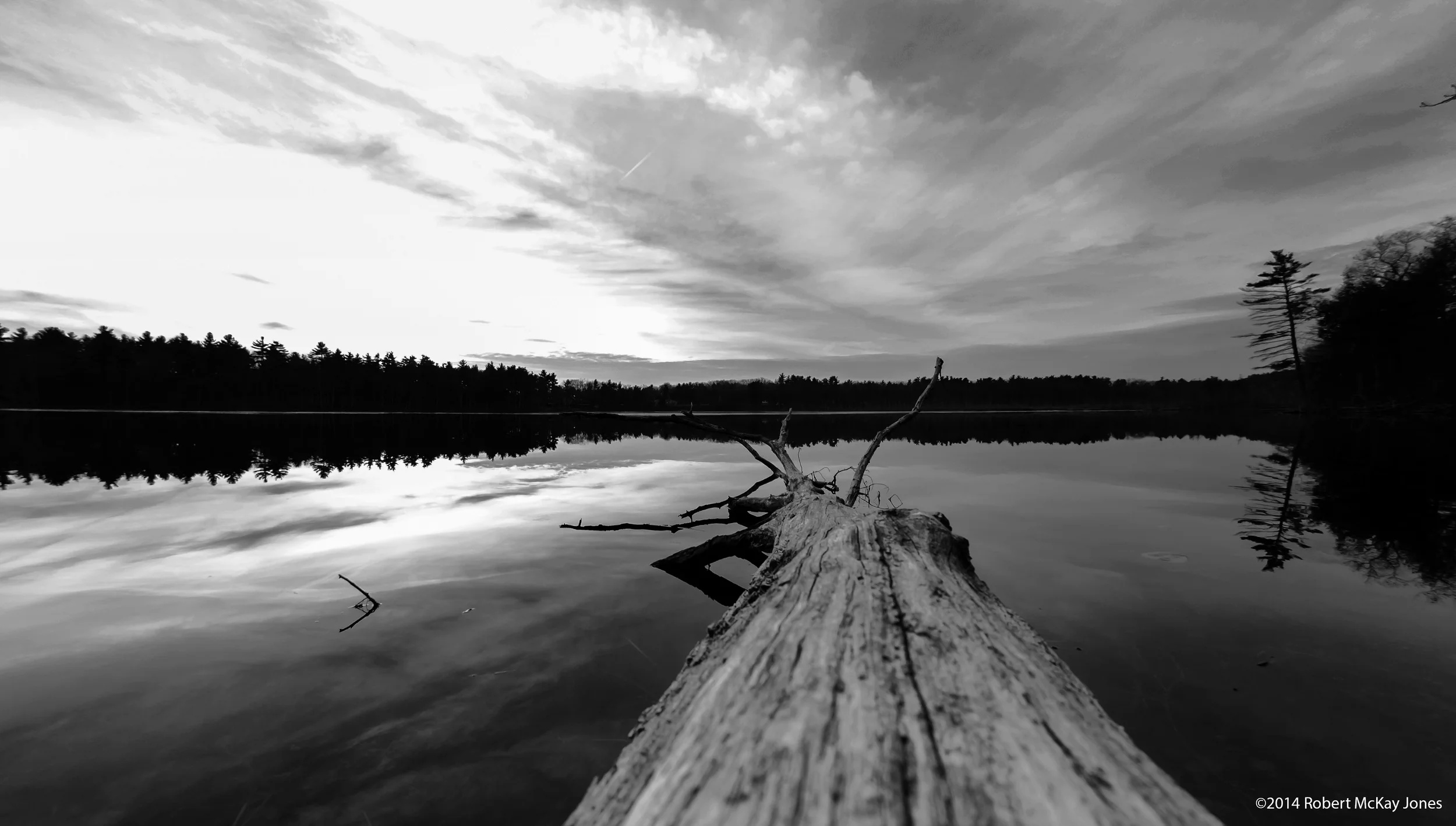_DSC1266 copy.jpg