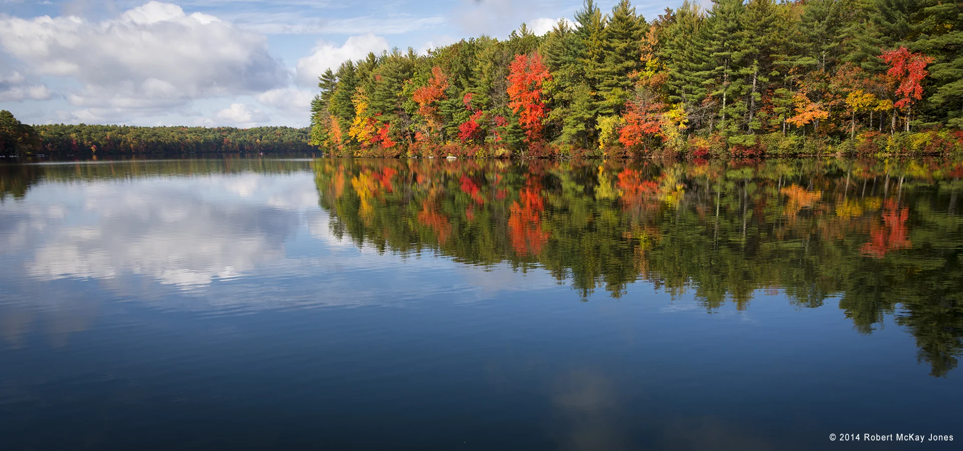 _DSC9379.jpg