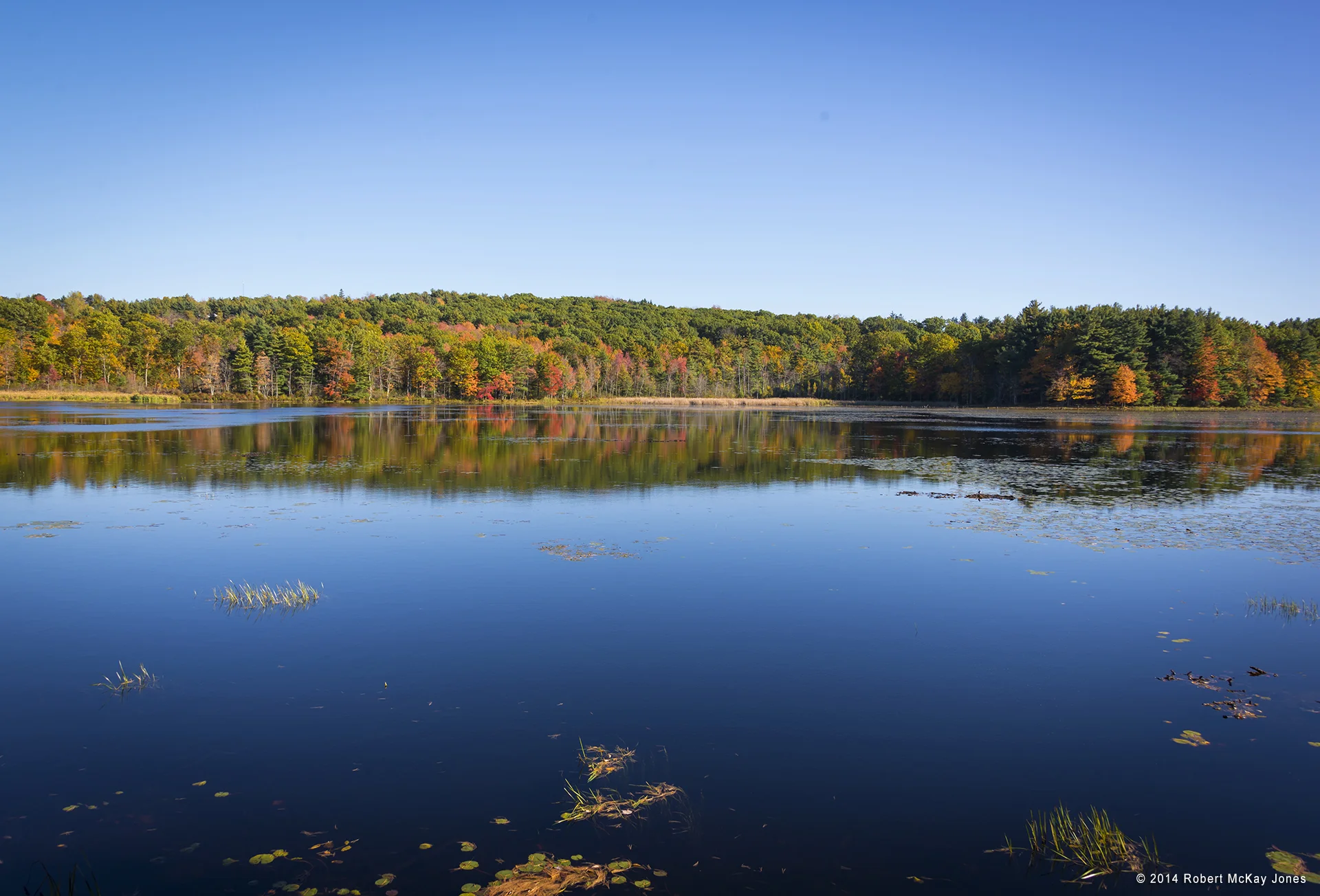 _DSC9500.jpg