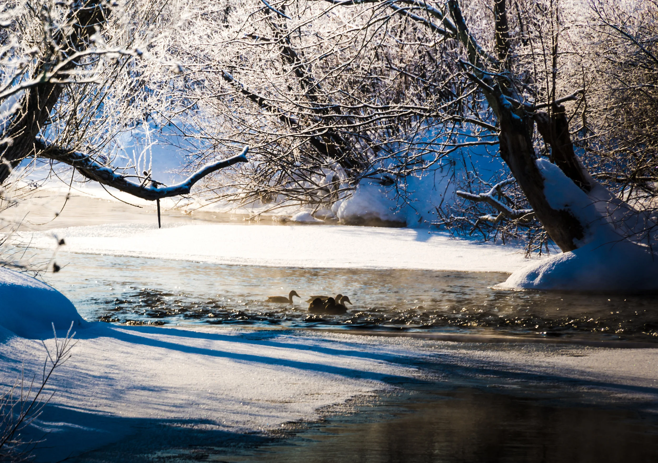 RMJ-2015robertmckayjones-9562-1.jpg