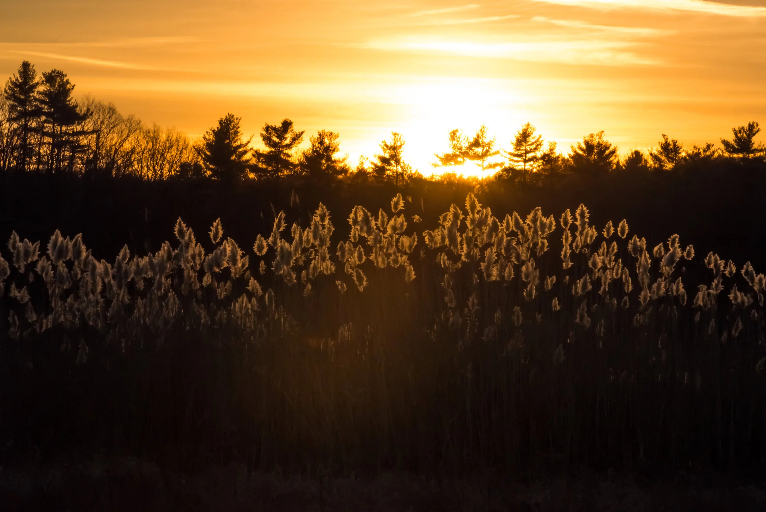 RMJ-2015_DSC2161-Edit-1.jpg