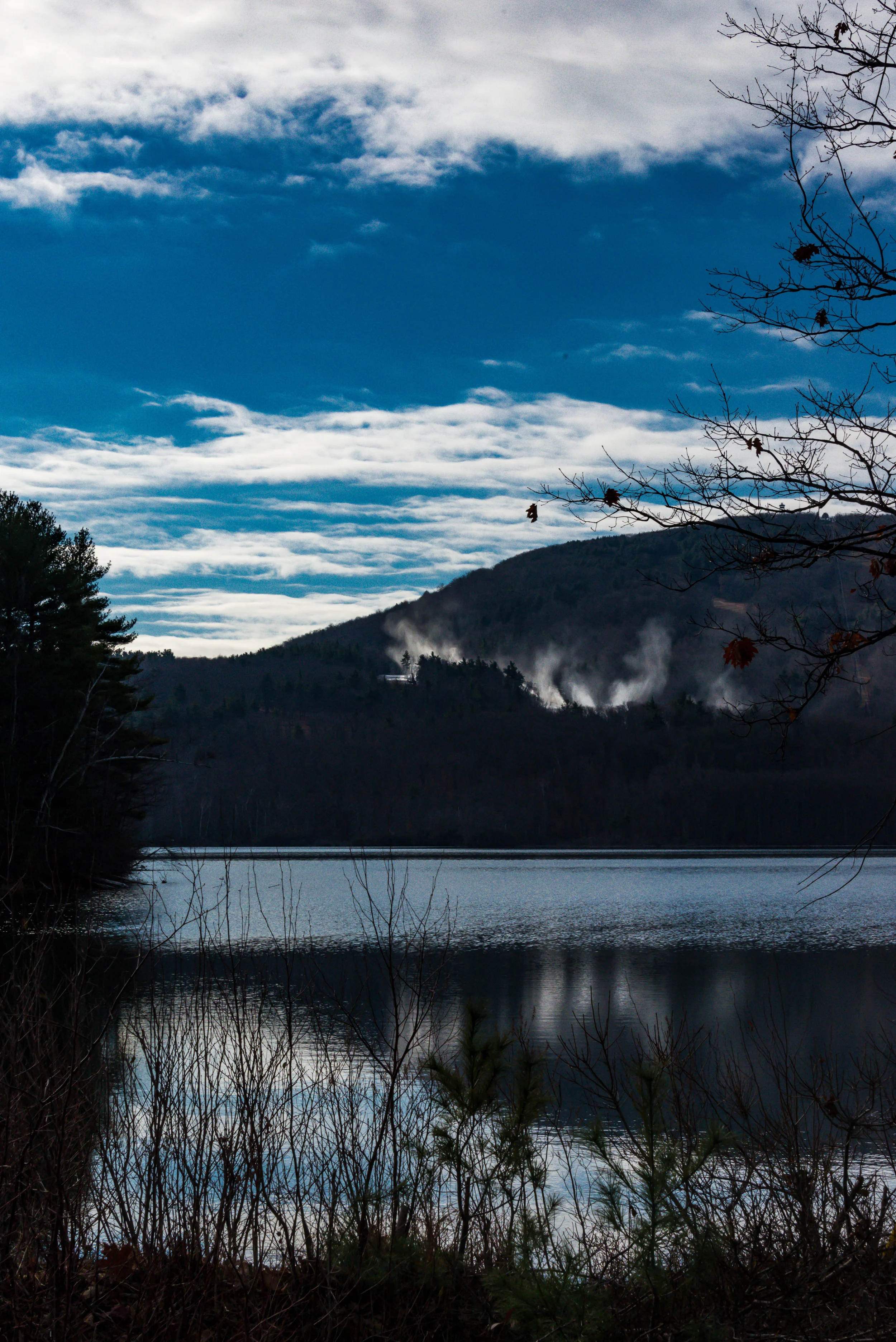 RMJ-2015_DSC3252-1.jpg