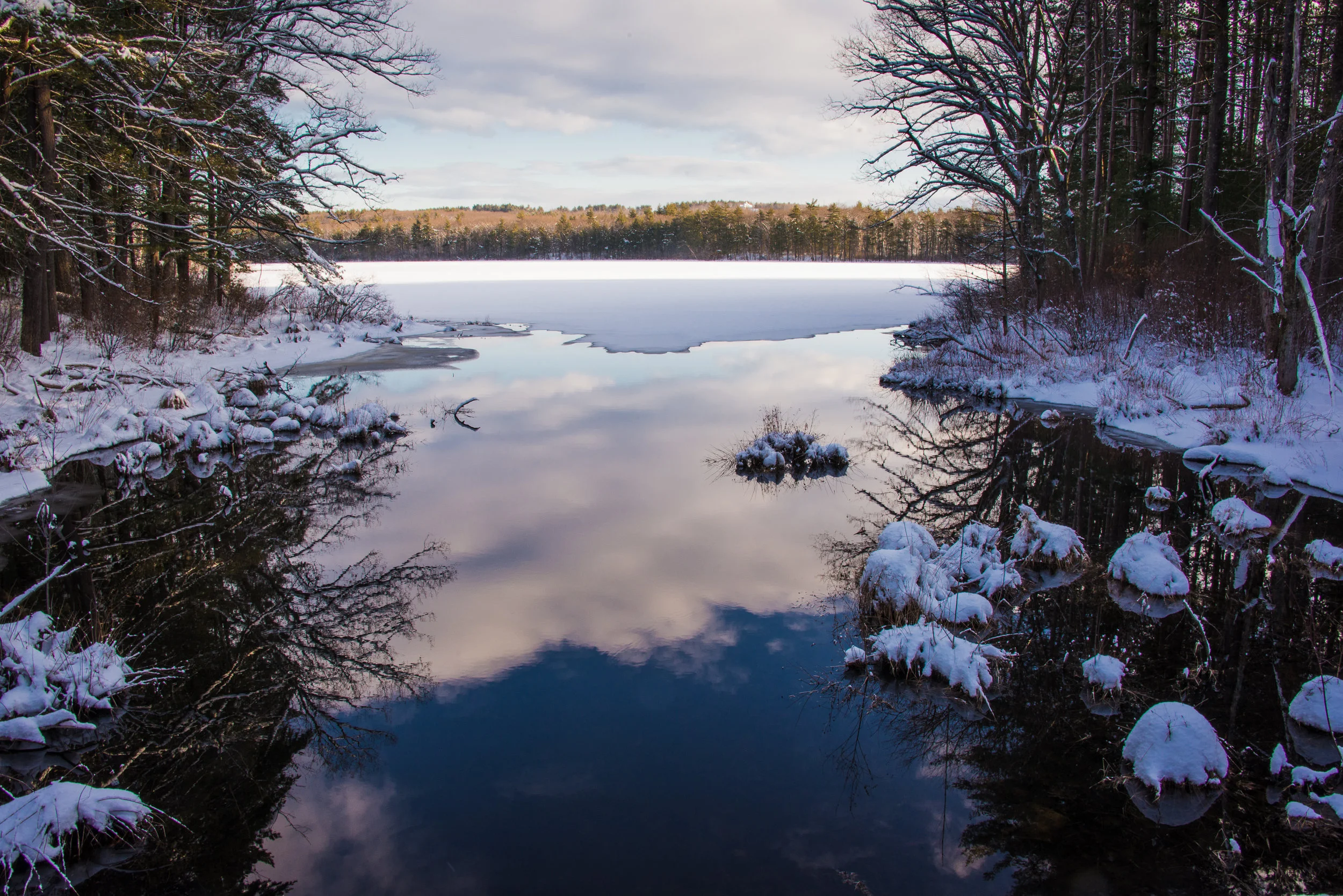 RMJ-2015_DSC6096-1.jpg
