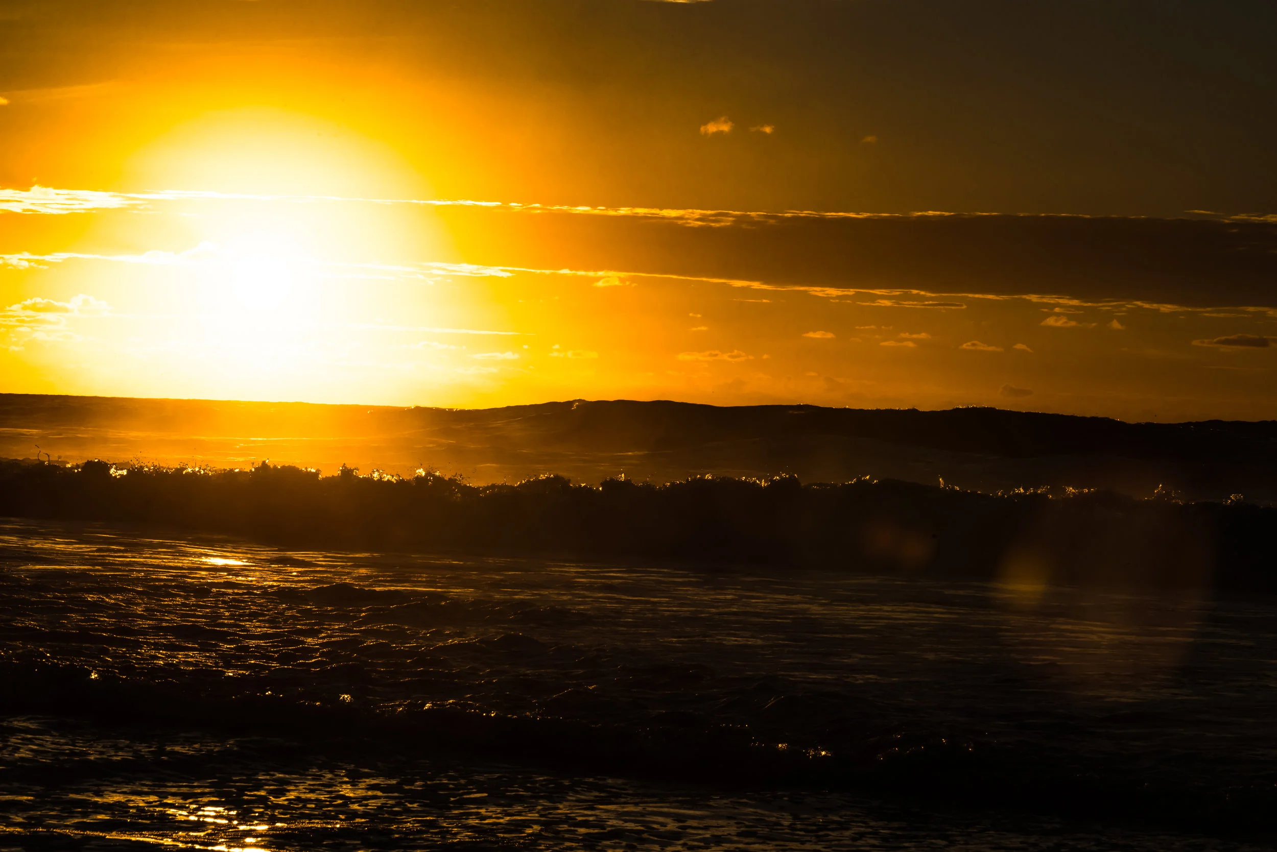 RMJ-2015_DSC6485-Edit-1.jpg