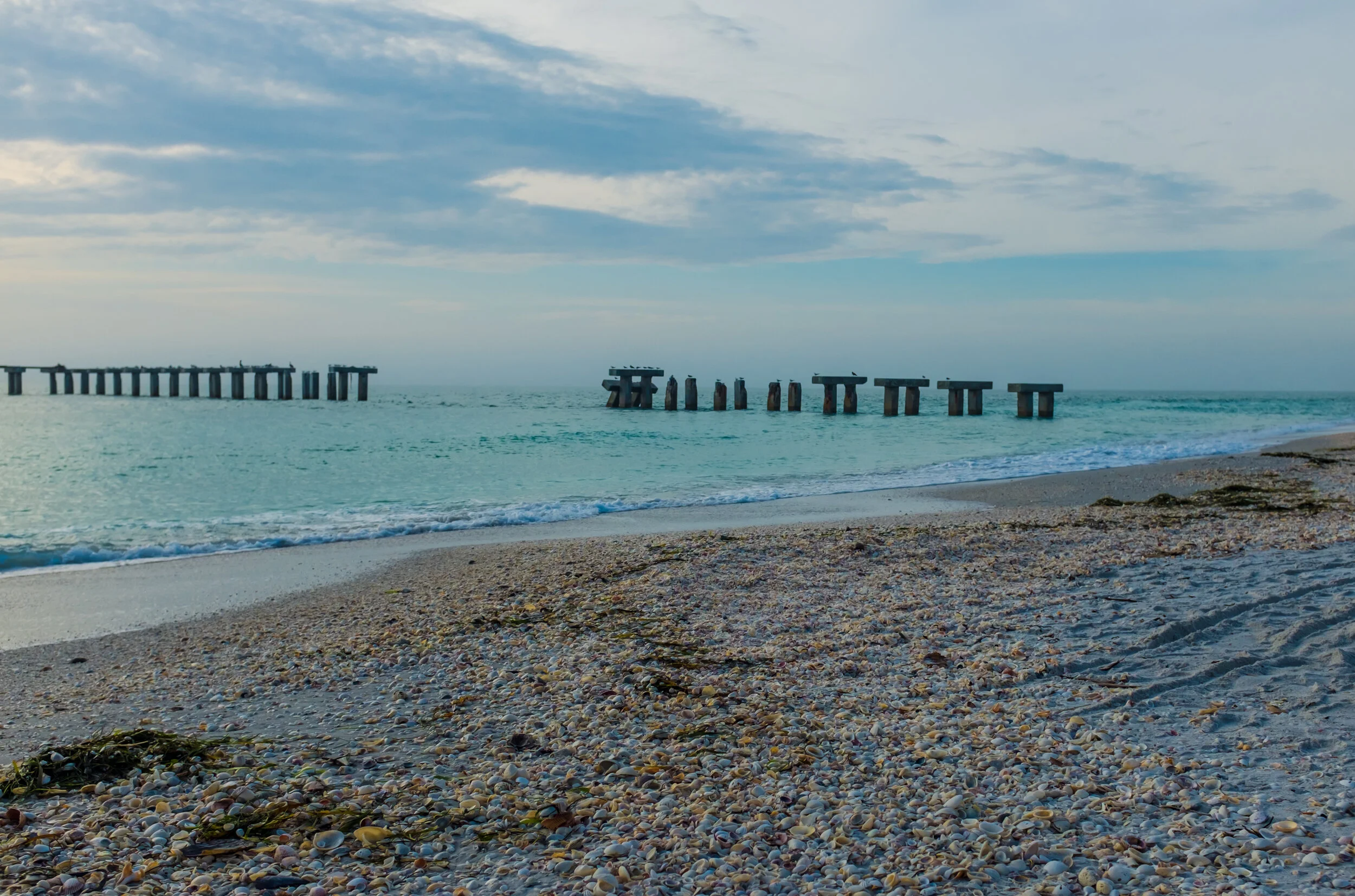 DSCF2594.jpg
