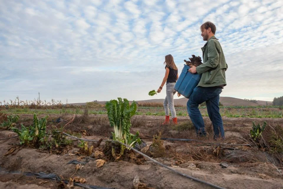 Food Waste, Food Poverty