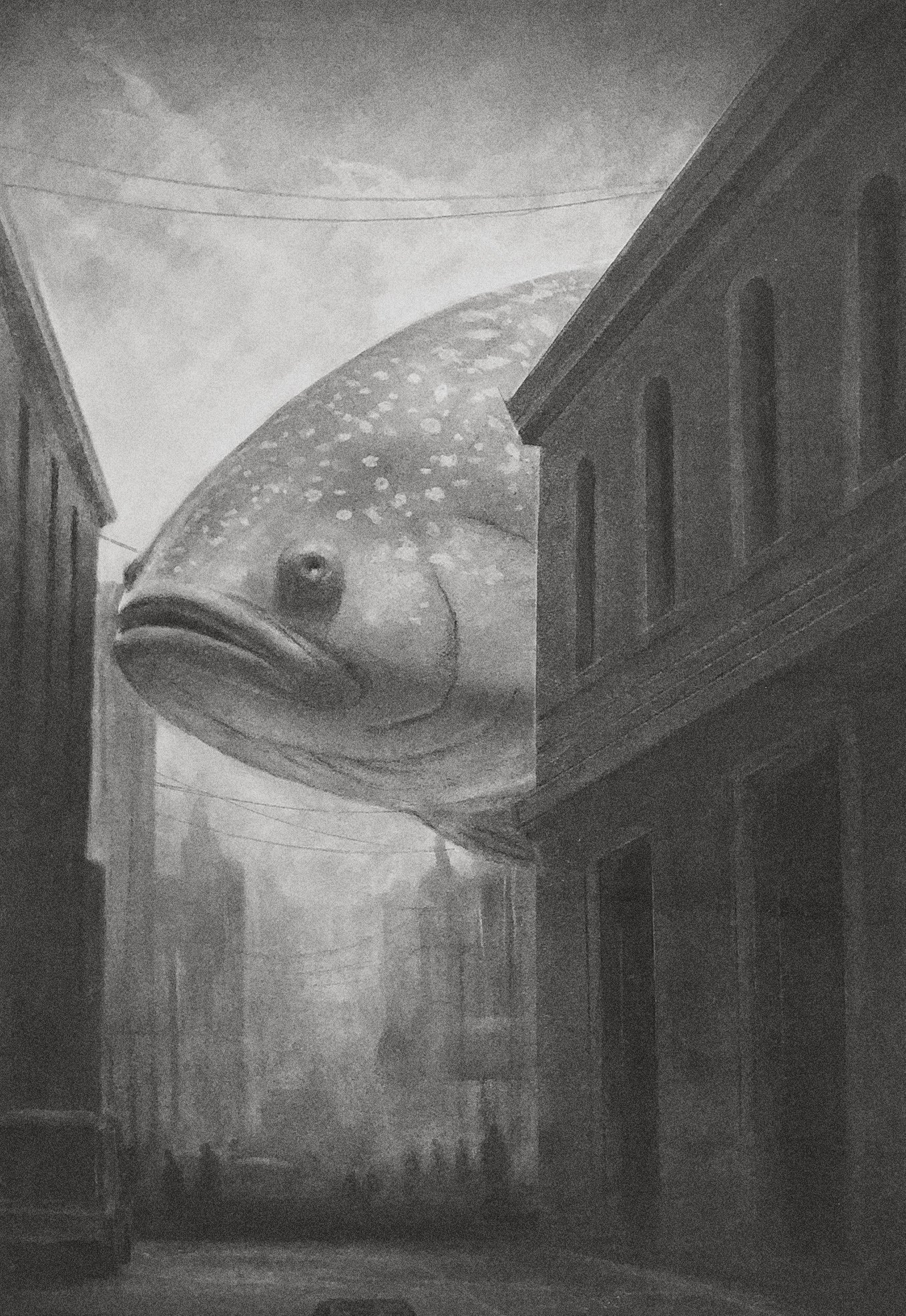 Piscine Street Paradox
