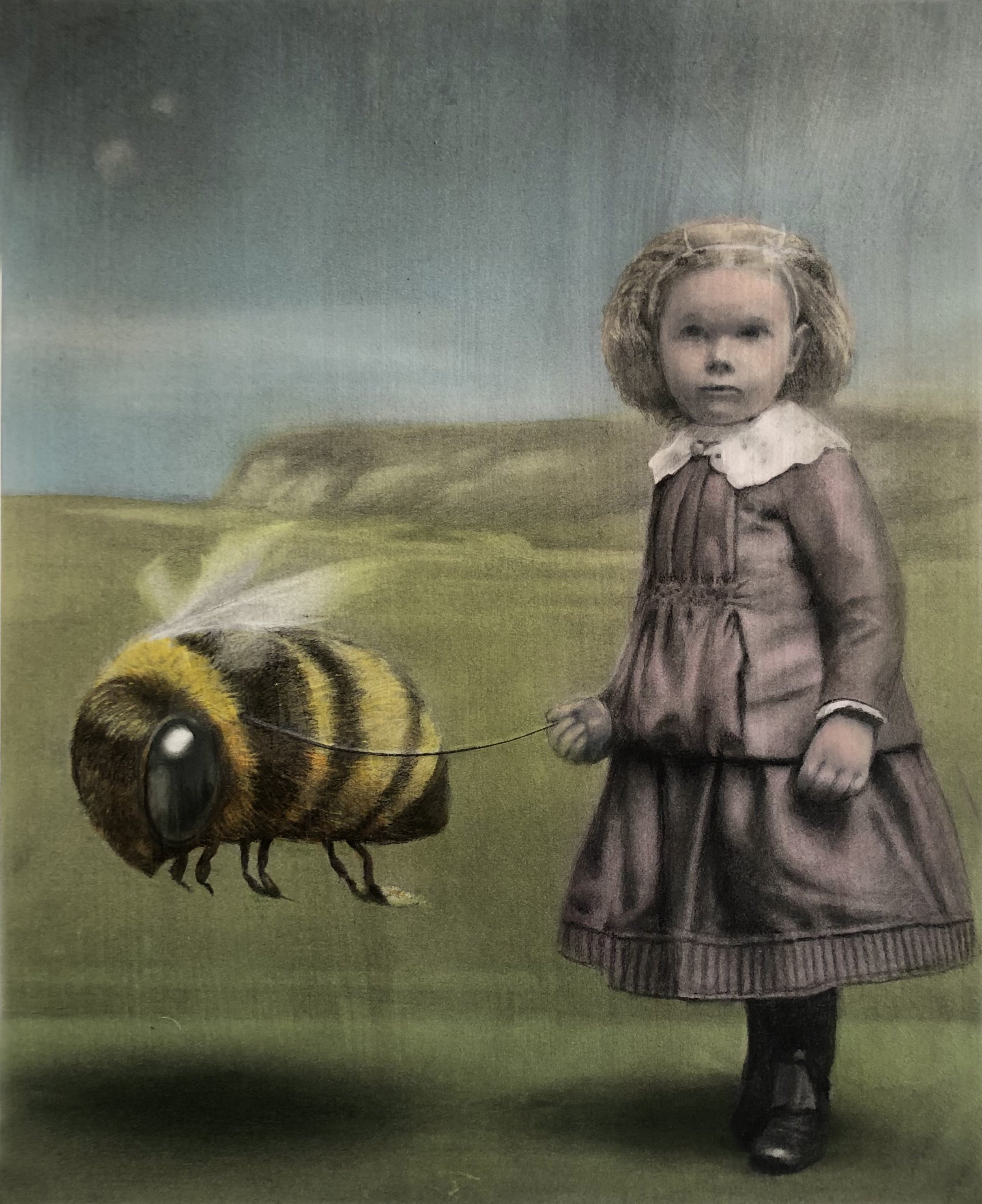 Plightof the BumbleBee Cropped.jpg