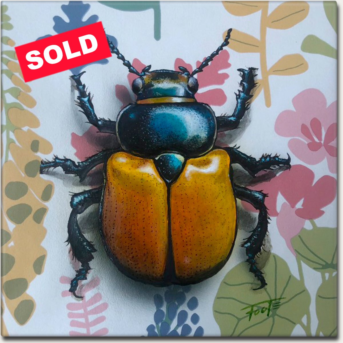 Ornate Insects