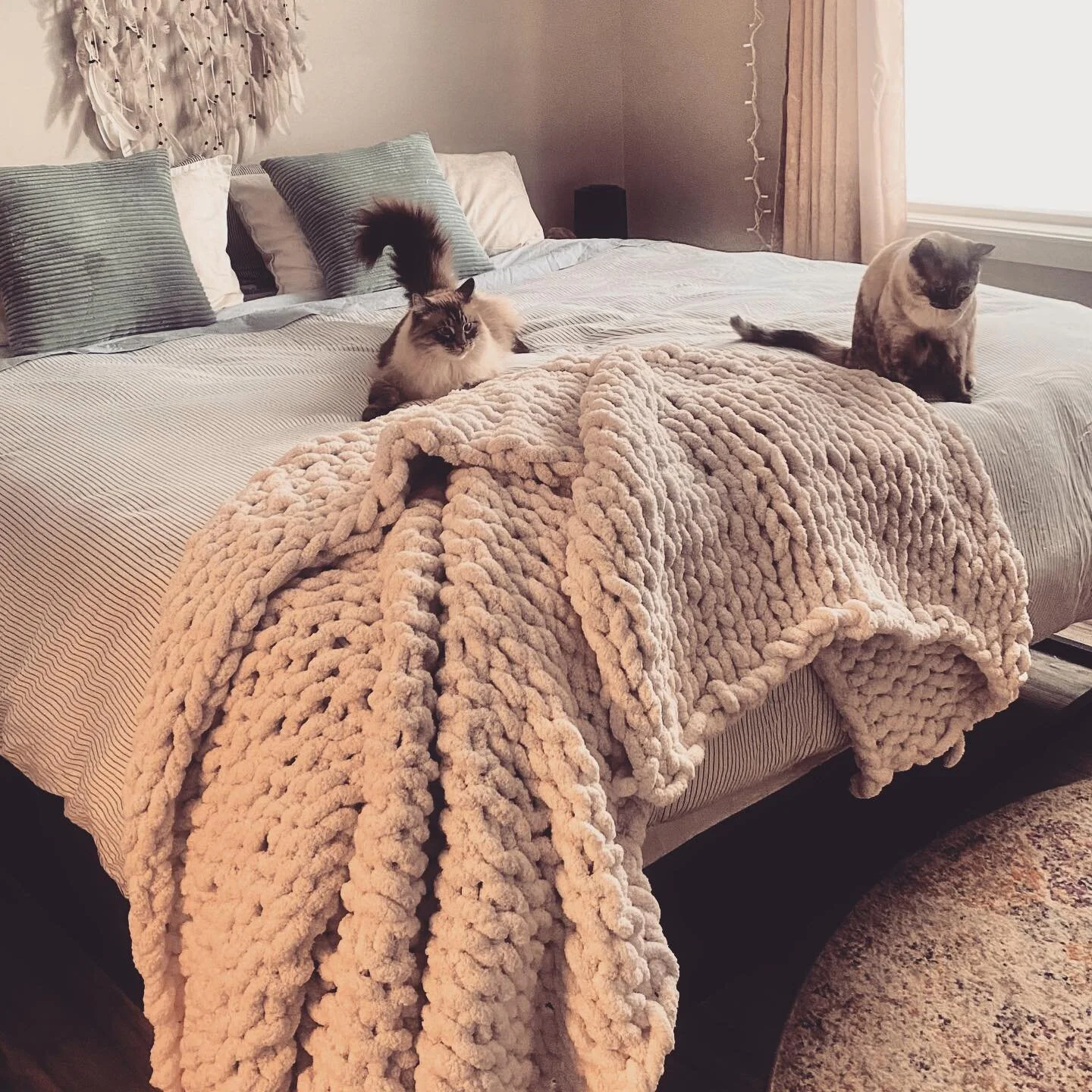 kitty approved chunky blanket .. I wonder if they could write a review?