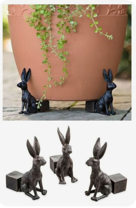 Screen Shot 2024-10-05 at 1.03.56 PM.png