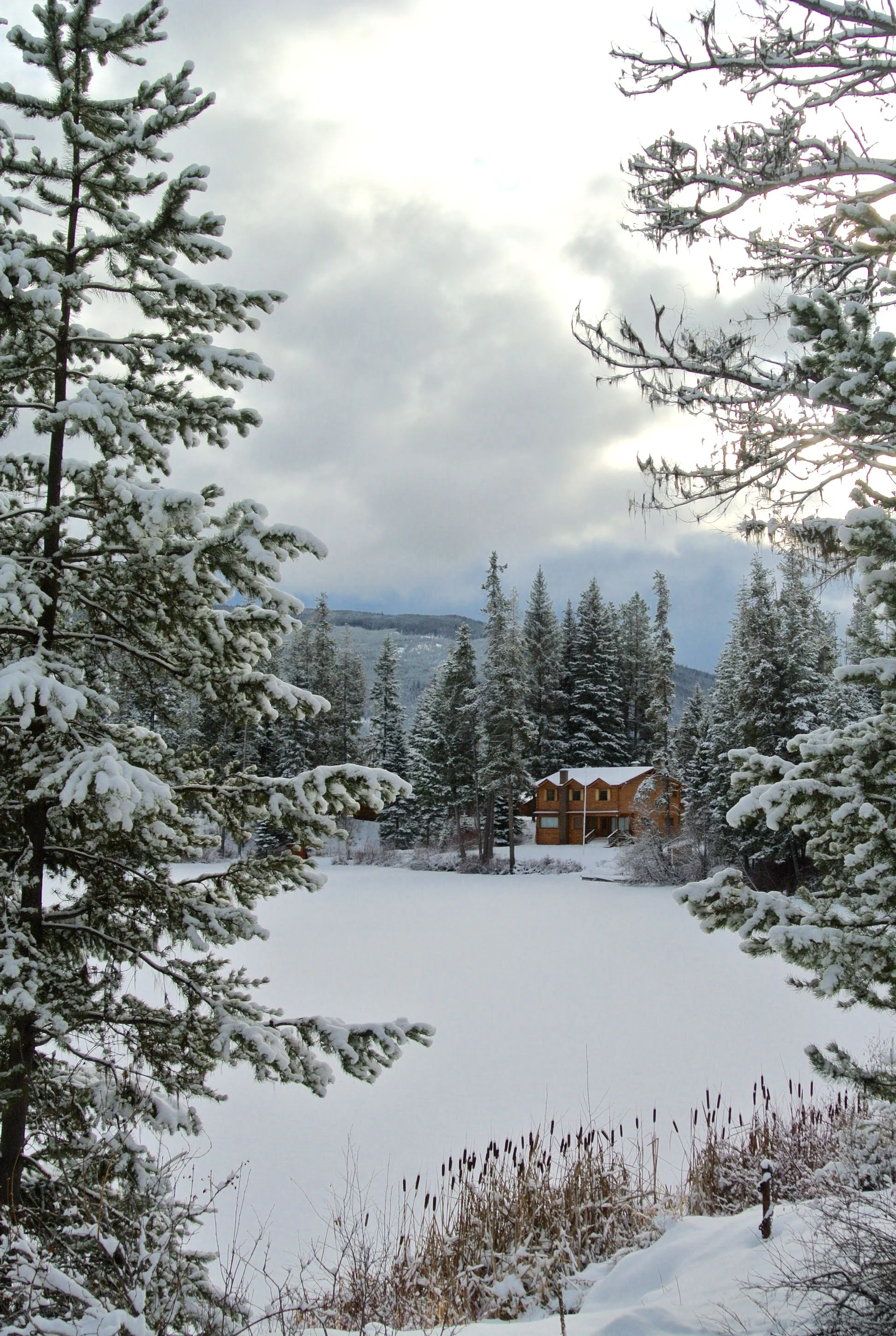 winter wonderland.jpeg