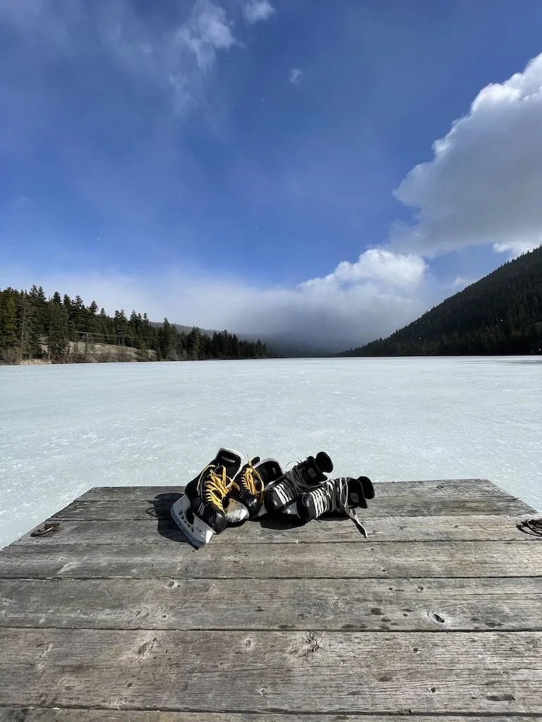 winter skate.jpeg