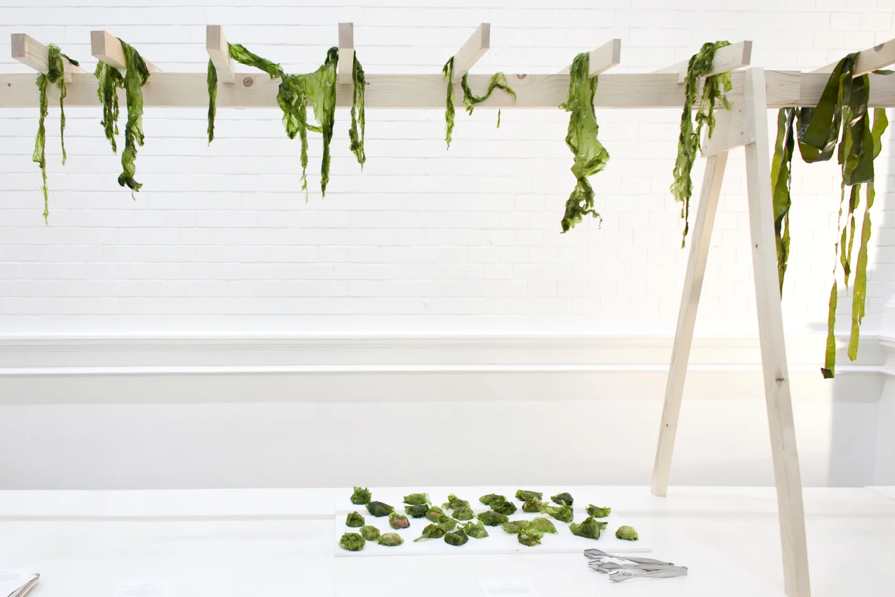 Katja Gruijters Fooddesign