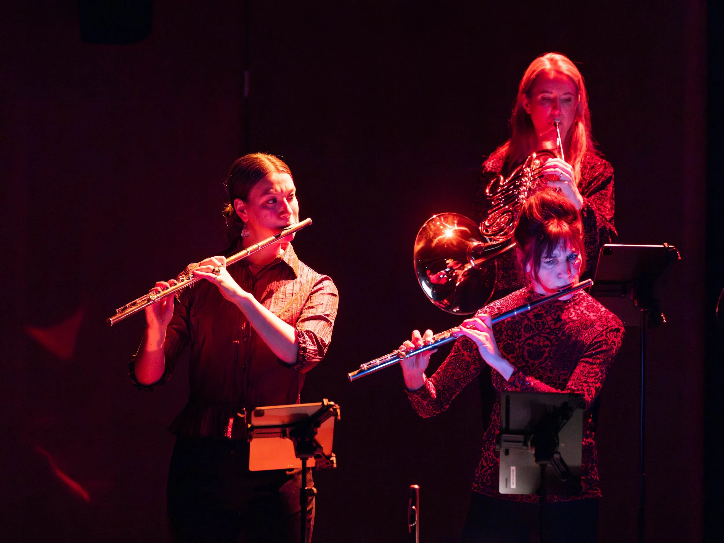 Nederlands Blazers Ensemble