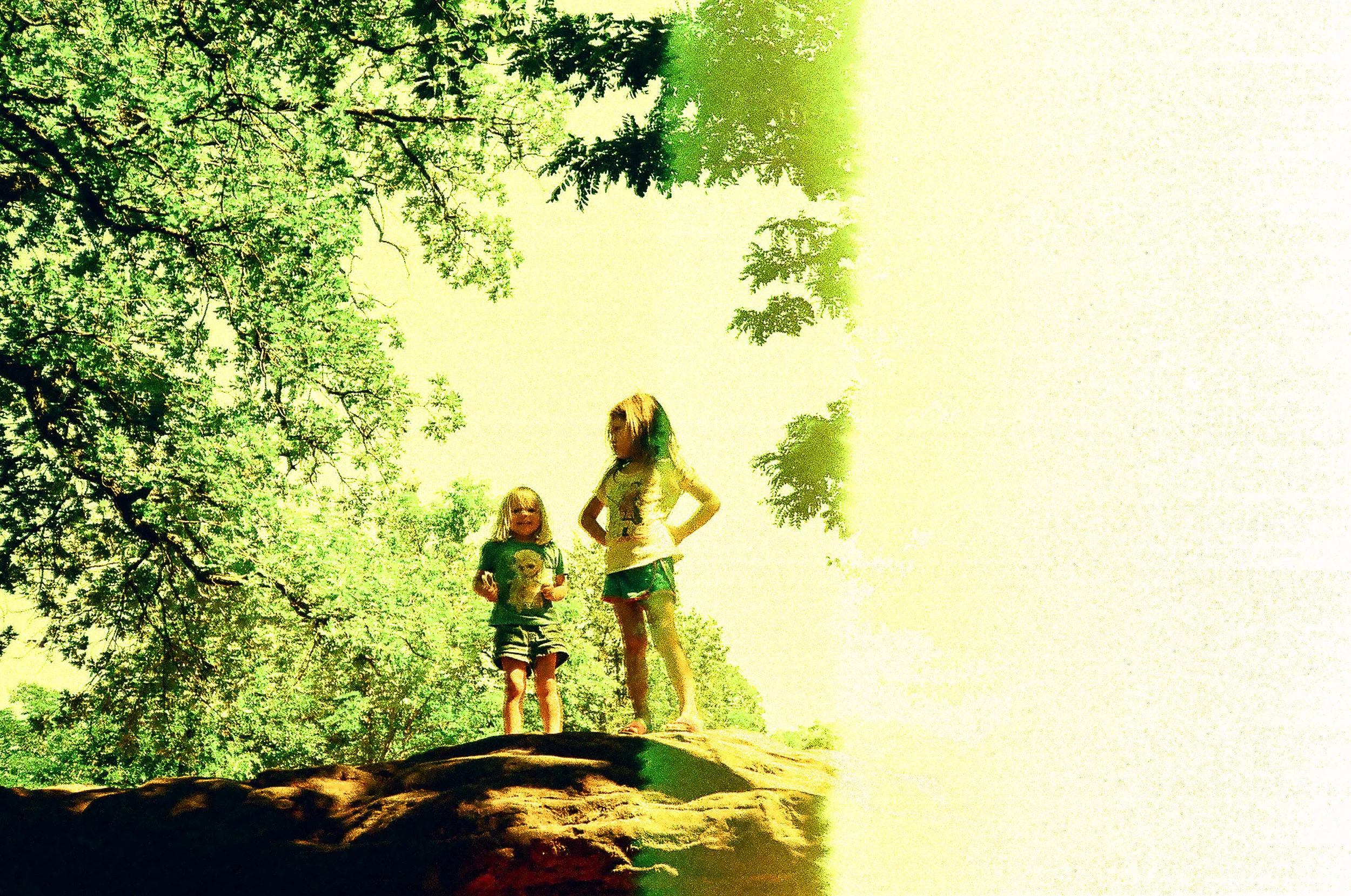 Most images came out extremely green/yellow. Here's some dappled lighting/end of the roll :-)