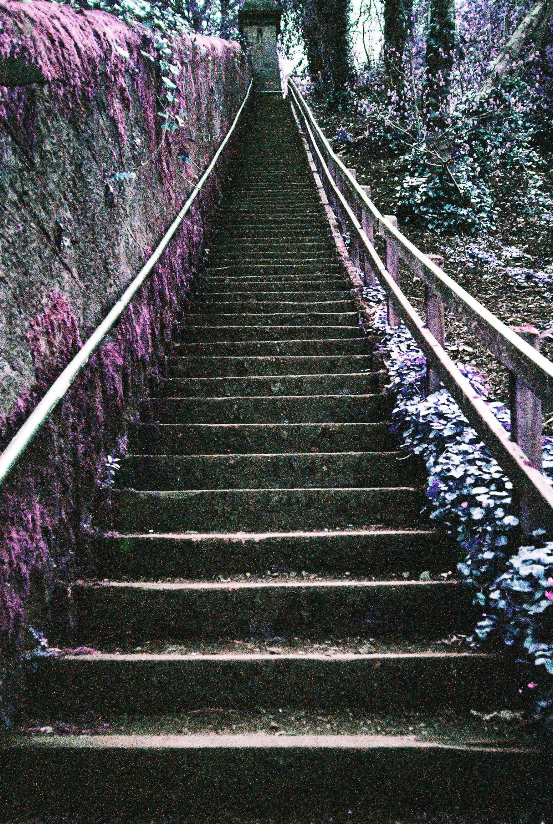 So. Many. Stairs.