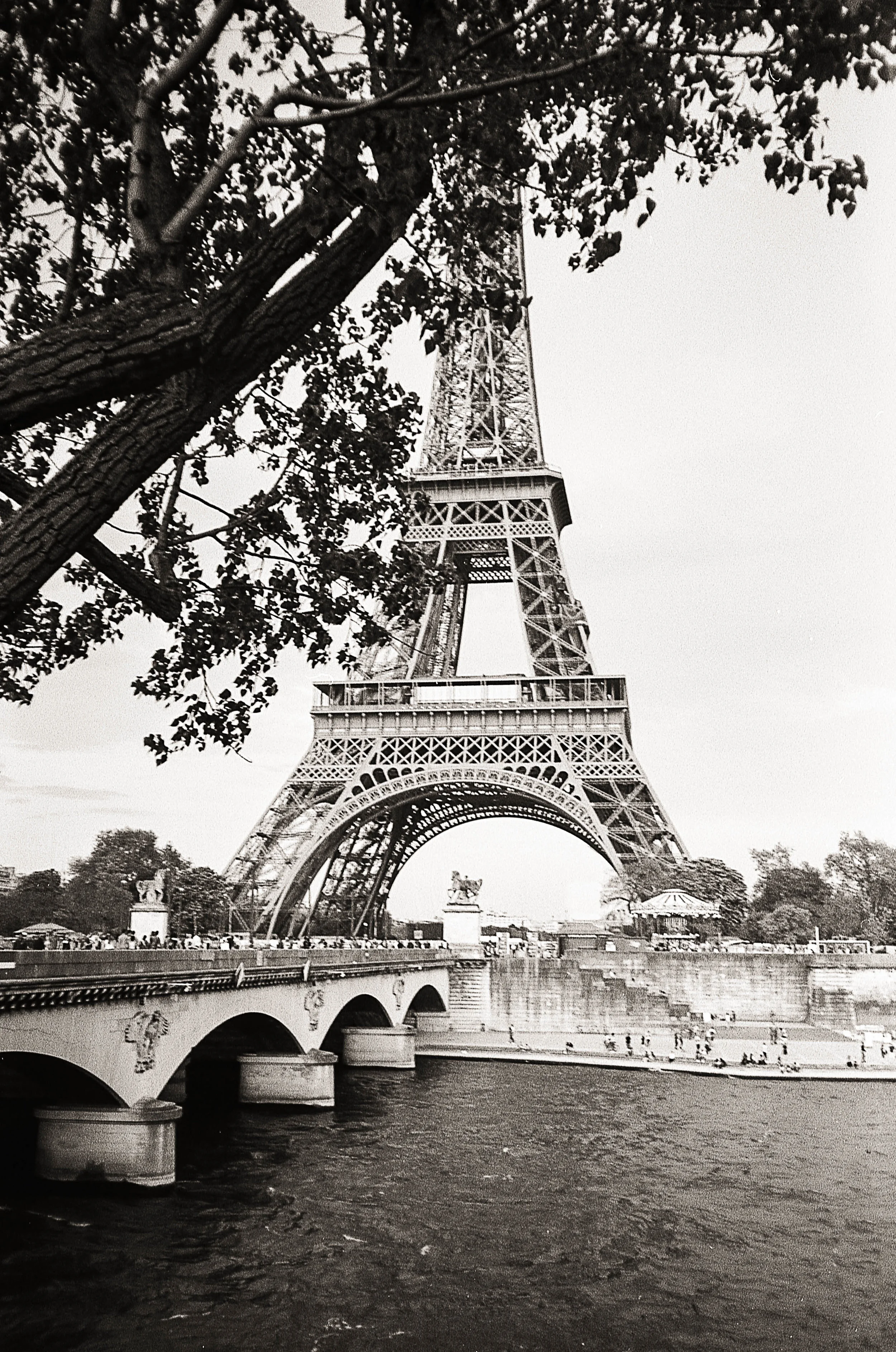 img464-3.jpg