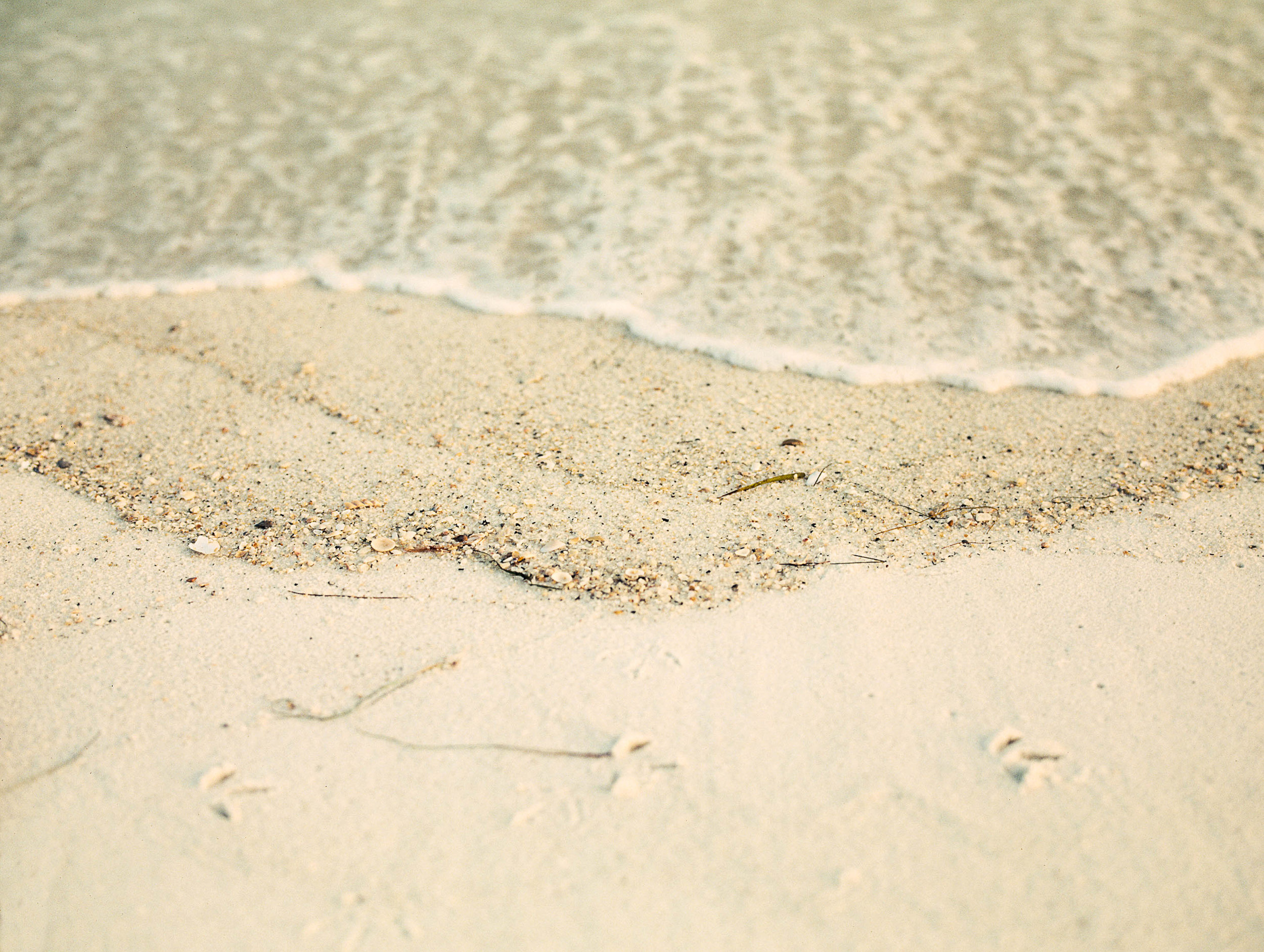 Twister Nude Beach House - Blog â€” Amanda Jean Photography