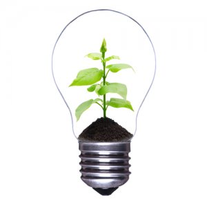 Image from sloanereview.mit.edu