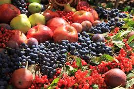 Sukkot and the mystery of nature's abundance