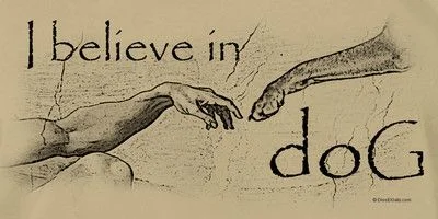 Believe in Dog