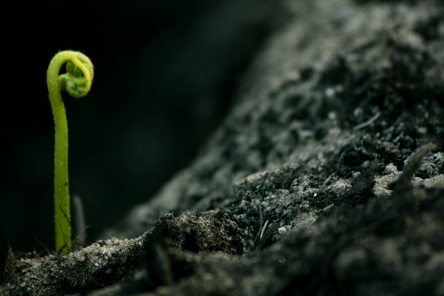 Sunday Gathering - Fear and Courage: Easter Sunday