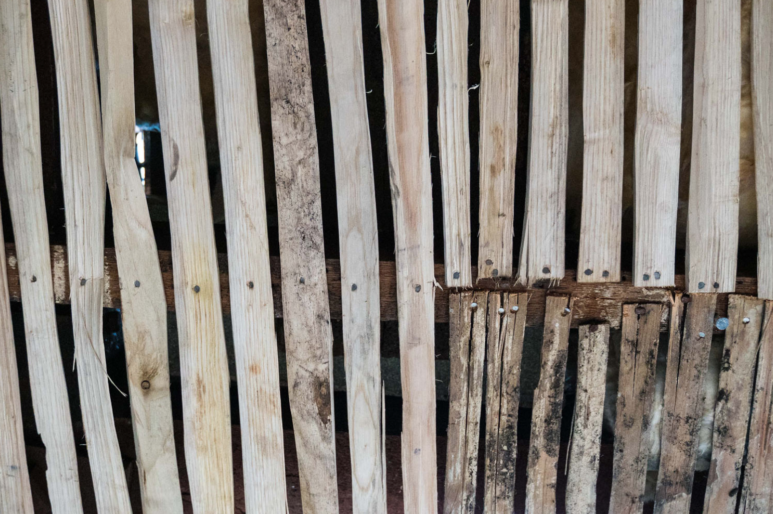 New laths (left) are gradually replacing the elderly laths (bottom right) that are layered beneath the ceiling of the Meeting House